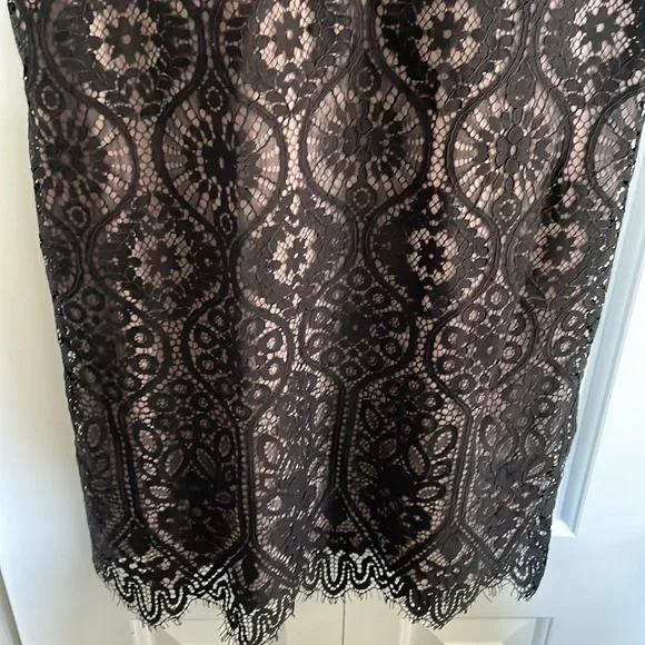 LOFT lace dress NWT $98 - Picture 3 of 10